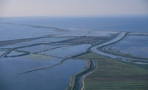 Delta dell'Arno, Delta di Fiume