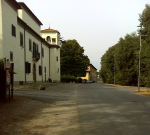Cammino di Santa Giulia, Coltano 