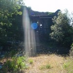 Cammino di Santa Giulia: Il seme del rinnovamento interiore