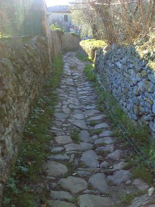 Cammino di santa Giulia, Percorso Calci Lucca