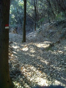 Ripafratta due passi nella storia