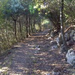 Ripafratta due passi nella storia