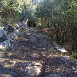 Ripafratta due passi nella storia