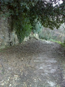 Ripafratta due passi nella storia