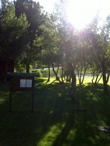 Cammino di Santa Giulia L'eventualità della via dei due buoi la Bibulca