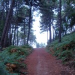 Un nuovo intento un nuovo Cammino di Santa Giulia 2012