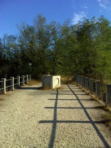 Cammino di Santa Giulia da Livorno a Lucca